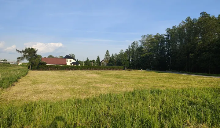 Działka budowlana Skawina, ul. Krakowska