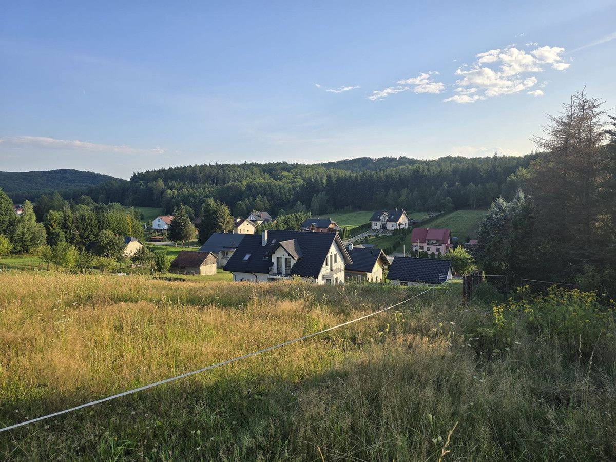 dom wolnostojący, 4 pokoje Grabownica Starzeńska. Zdjęcie 2