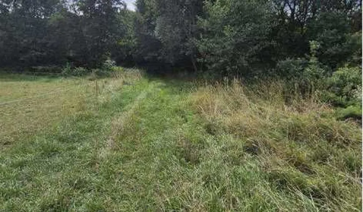 Działka rolno-budowlana Wolany