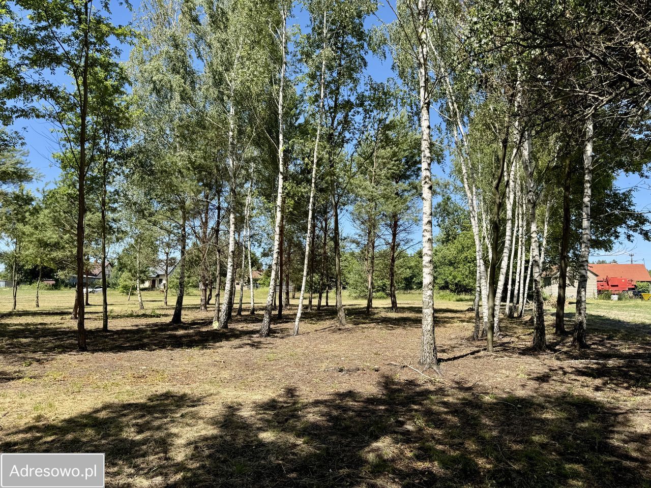 Działka budowlana Antoninów. Zdjęcie 6