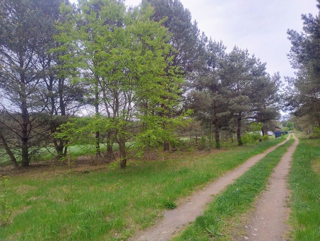 Działka budowlana Władysławowo. Zdjęcie 5
