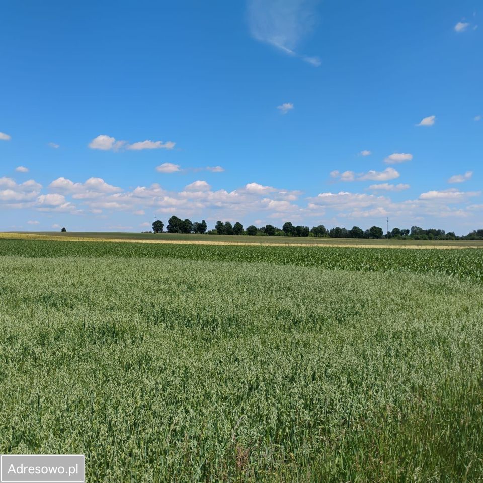 Działka budowlana Silniczka, ul. Zielona. Zdjęcie 9
