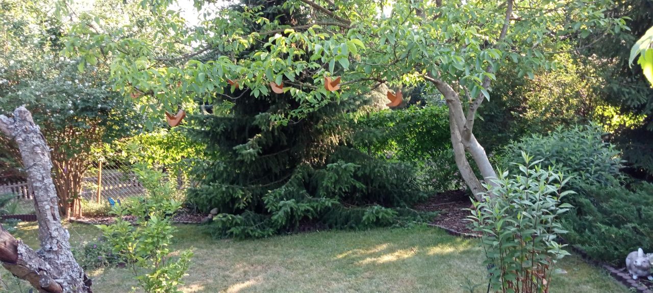 Działka budowlana Kaletnik, ul. Kościelna. Zdjęcie 2