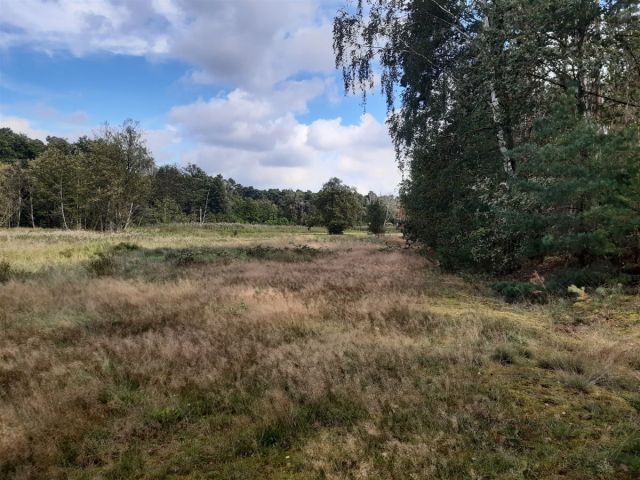 Działka rolna Barycz. Zdjęcie 3