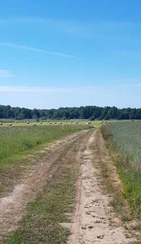 Działka budowlana Sarbsk, Sarbsk. Zdjęcie 14