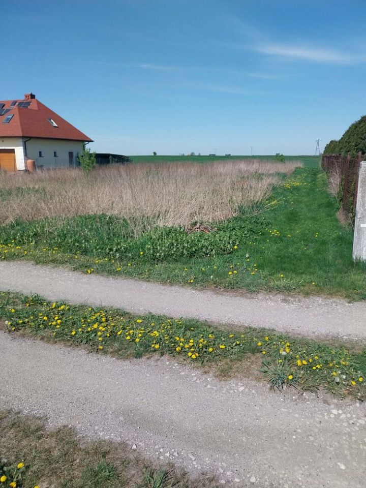 Działka budowlana Łążynek. Zdjęcie 1
