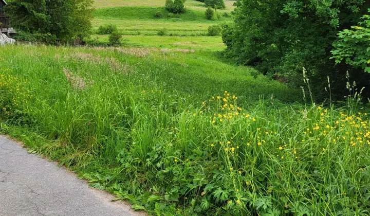 Działka budowlana Srogów Górny