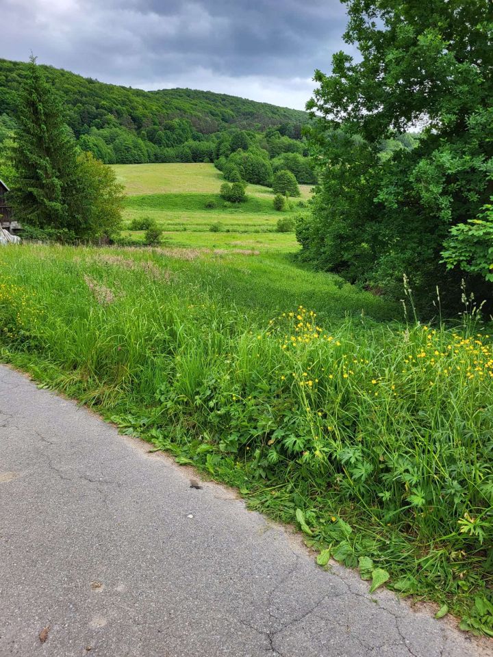 Działka budowlana Srogów Górny