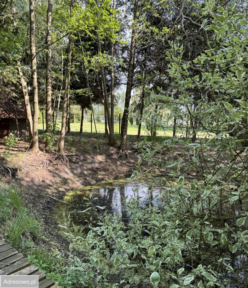 dom letniskowy, 3 pokoje Woźnawieś. Zdjęcie 3