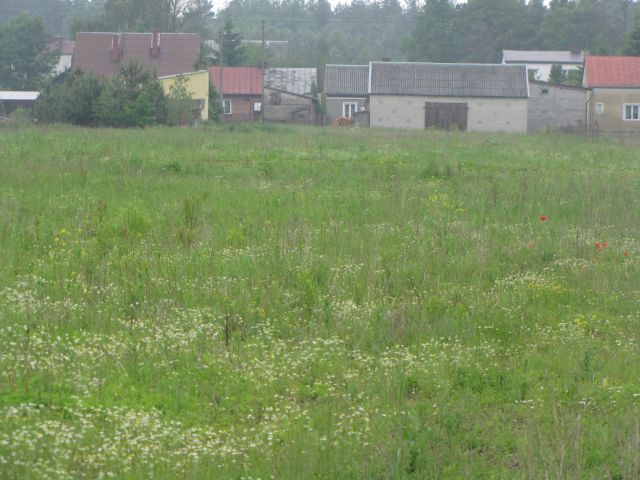 Działka budowlana Mińsk Mazowiecki Kędzierak, ul. Aureliusza Chróścielewskiego. Zdjęcie 2