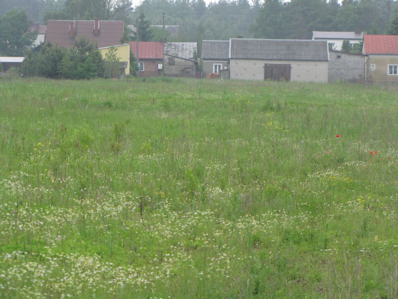Działka budowlana Mińsk Mazowiecki Kędzierak, ul. Aureliusza Chróścielewskiego. Zdjęcie 2