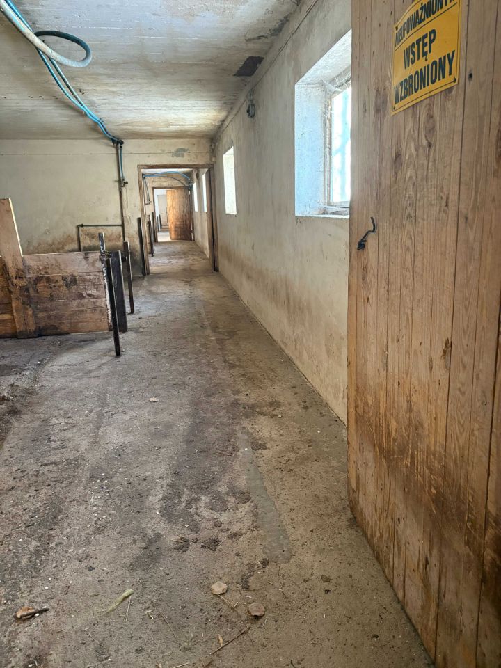 Nieruchomość komercyjna Pustki. Zdjęcie 5