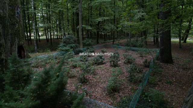 Działka inwestycyjna Słupiec. Zdjęcie 15