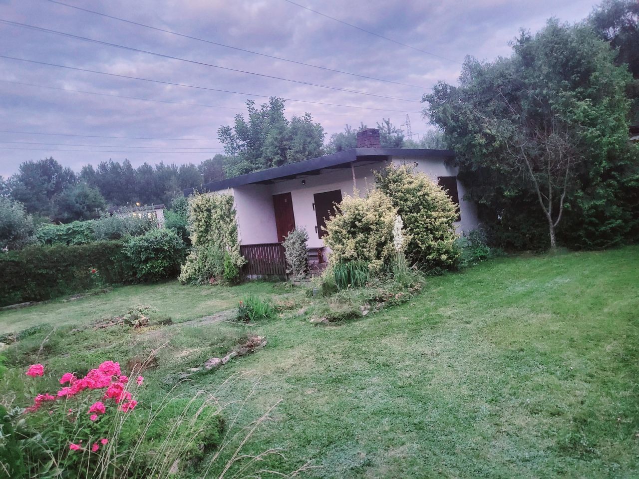 Działka rod Chorzów Pniaki, ul. Opolska. Zdjęcie 2