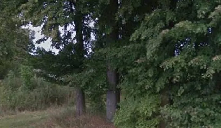 Działka budowlana Sokołowy Kąt