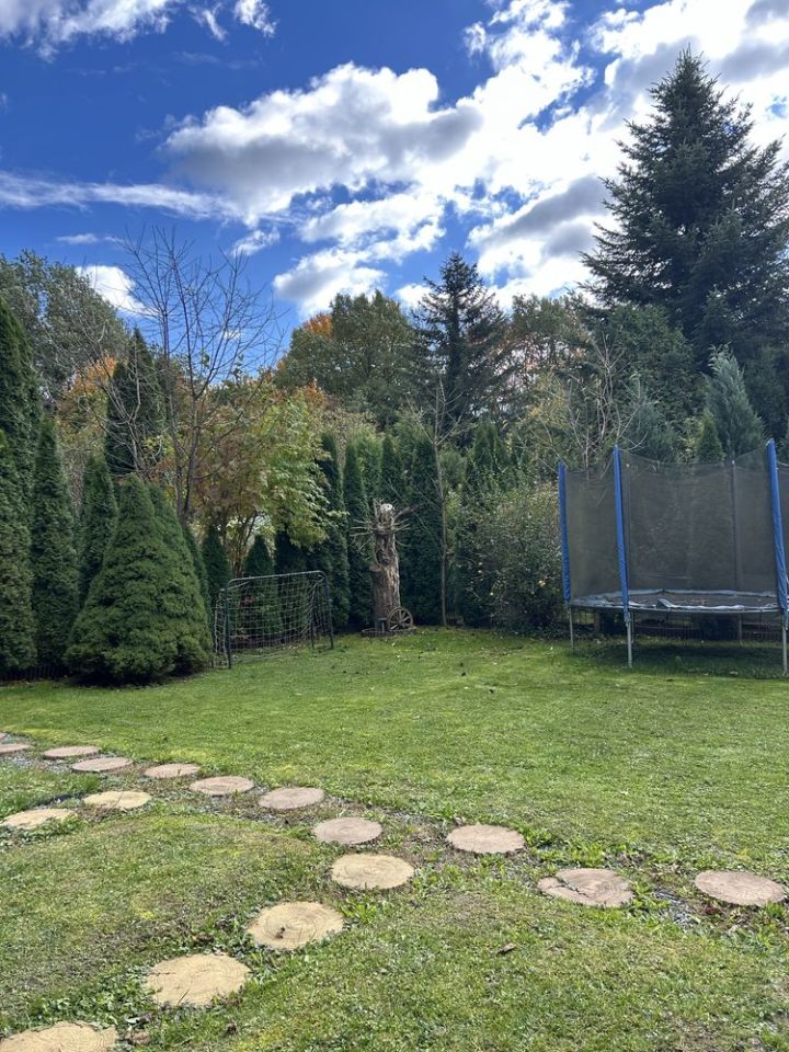 Działka rod Brzegi. Zdjęcie 5