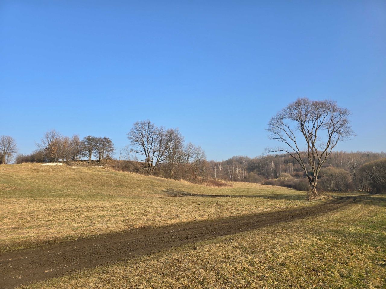 Działka budowlana Wieprz. Zdjęcie 7