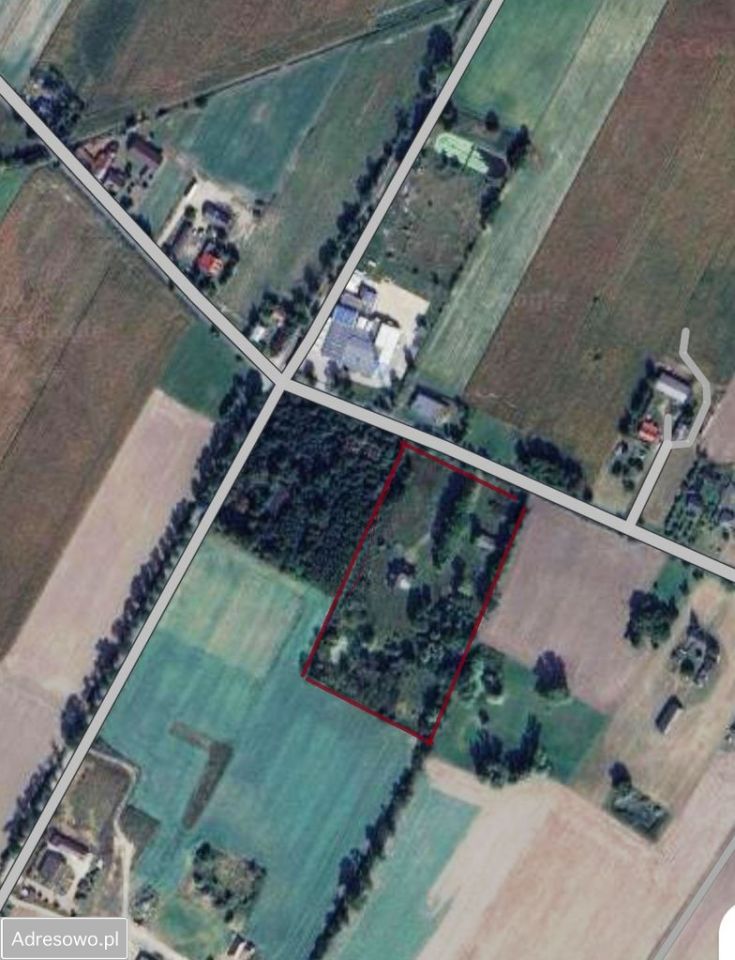 dom wolnostojący, 5 pokoi Niedrzew Drugi. Zdjęcie 5