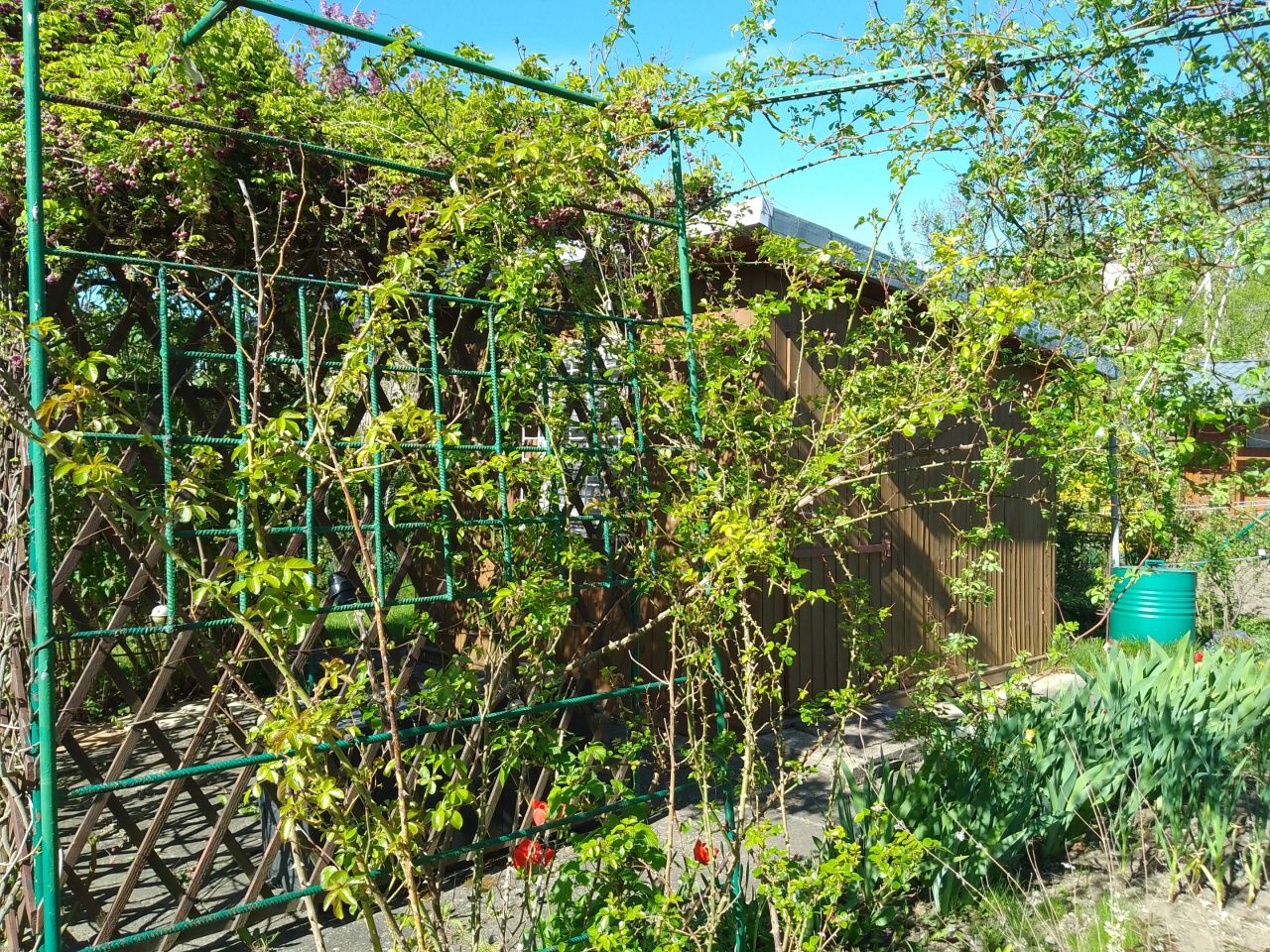 Działka rod Rzeszów Nowe Miasto, al. Niepodległości. Zdjęcie 6