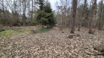 Działka rolno-budowlana Kwiatkowice-Las, Zachodnia. Zdjęcie 3