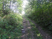 Działka siedliskowa Górzanka. Zdjęcie 3