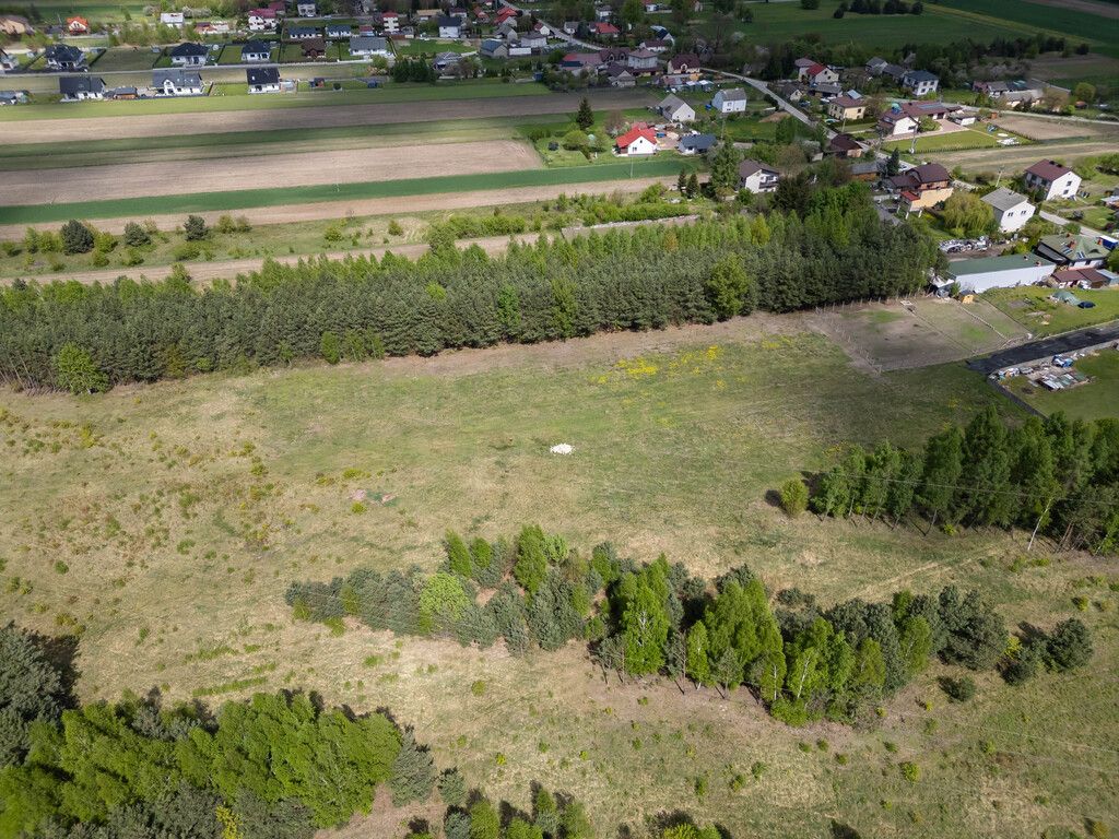 Działka budowlana Magonie. Zdjęcie 12