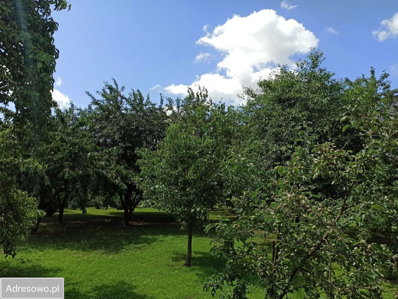 dom wolnostojący, 6 pokoi Wolice. Zdjęcie 15