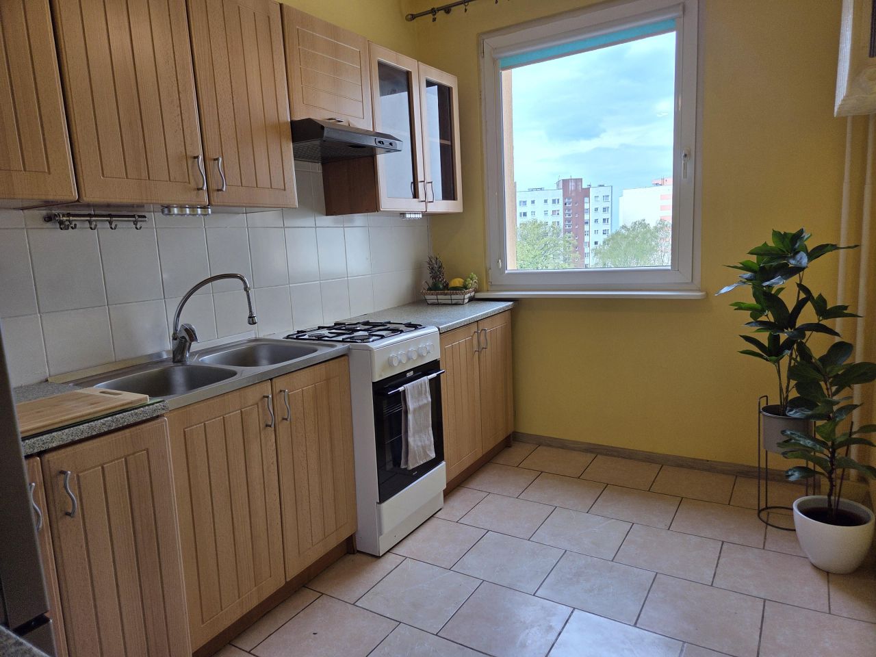 Mieszkanie 1-pokojowe Elbląg Zawada, ul. Robotnicza. Zdjęcie 7