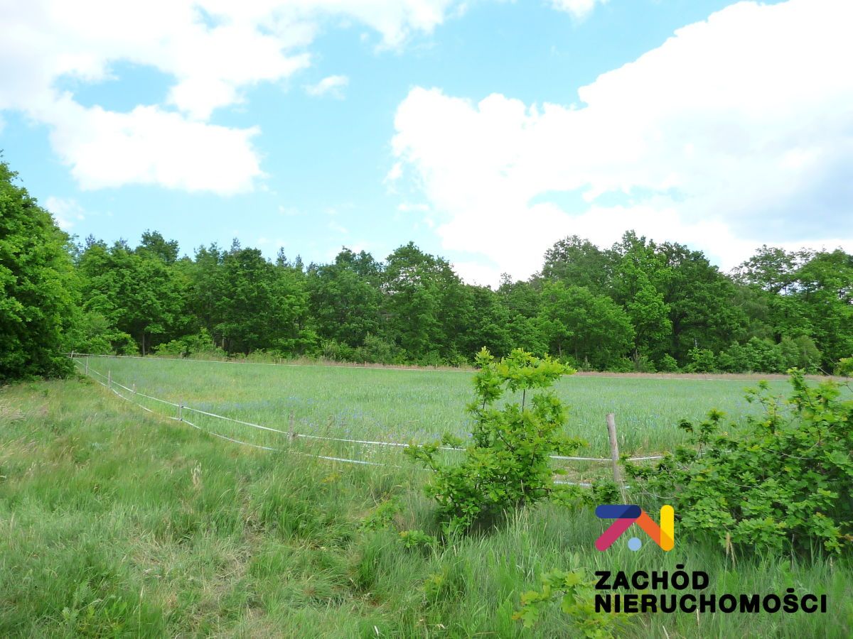 Działka rolna Drągowina. Zdjęcie 2