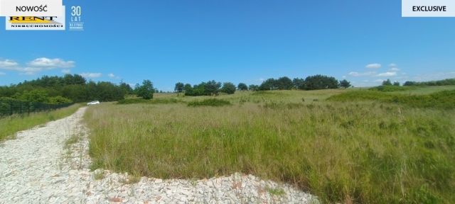 Działka rekreacyjna Płocin. Zdjęcie 13