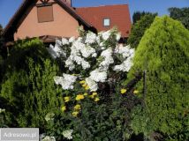 dom wolnostojący, 5 pokoi Wolica. Zdjęcie 1