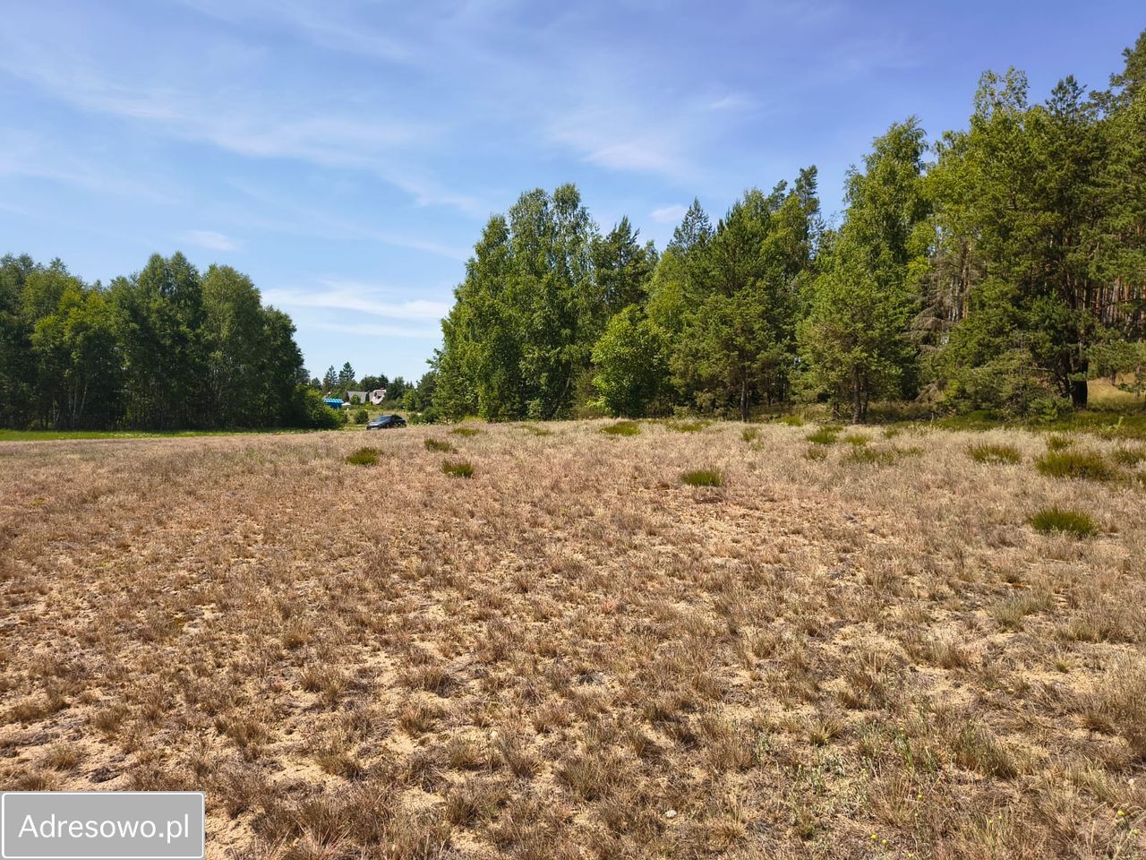 Działka budowlana Płocice. Zdjęcie 5