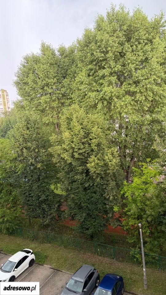Mieszkanie 3-pokojowe Kraków Mistrzejowice, os. Złotego Wieku. Zdjęcie 9