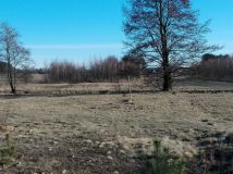 Działka inwestycyjna Ostrówek. Zdjęcie 1