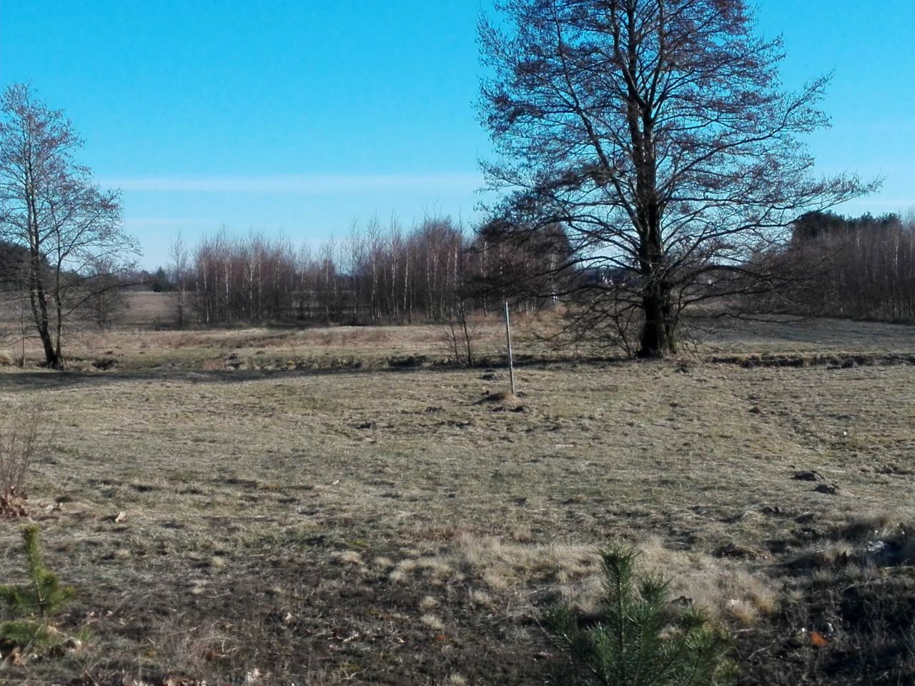 Działka inwestycyjna Ostrówek. Zdjęcie 2