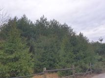 Działka budowlana Ostrowina. Zdjęcie 1