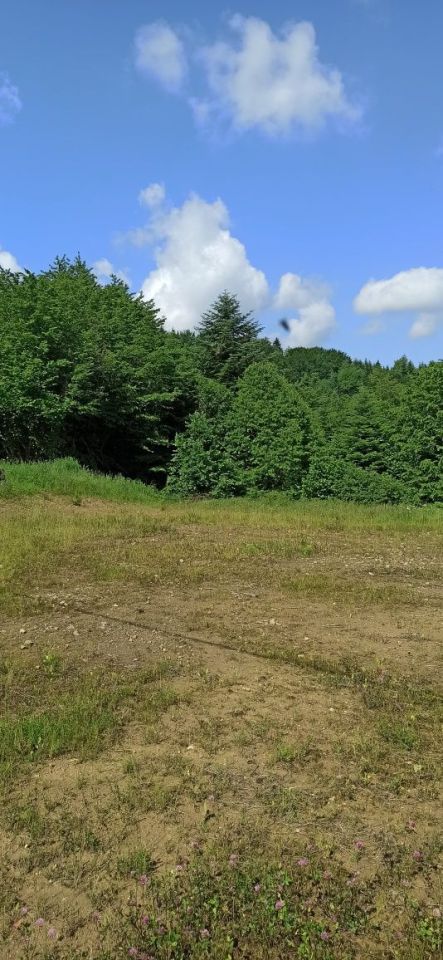 Działka rolna Wołkowyja. Zdjęcie 6