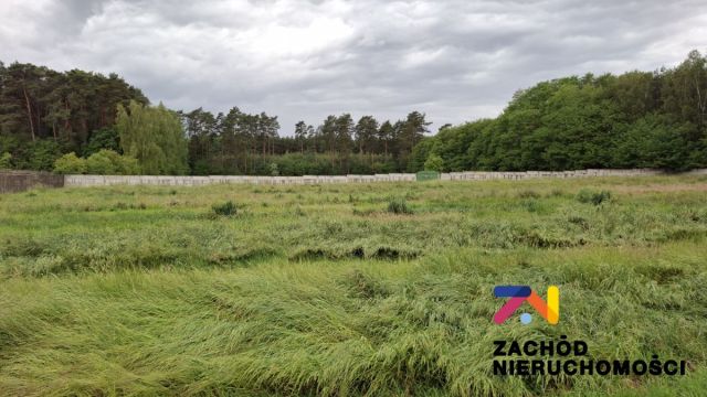 Hala/magazyn Zielona Góra. Zdjęcie 5