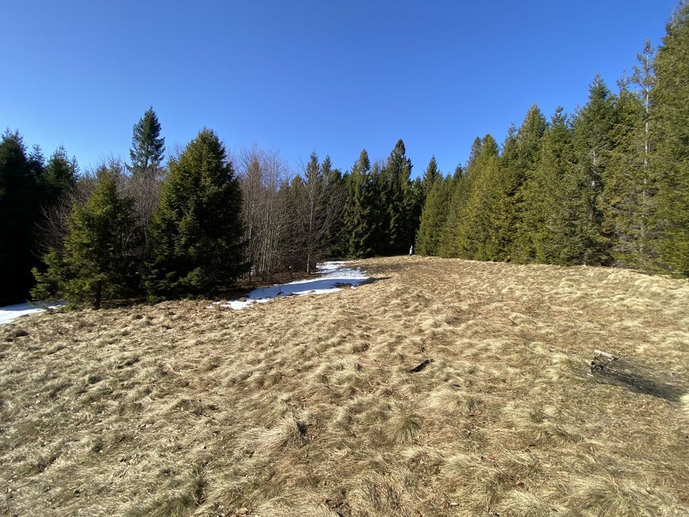 Działka rekreacyjna Bystra. Zdjęcie 3