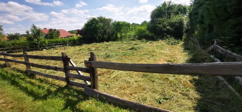 Działka rod Lubniewice. Zdjęcie 2