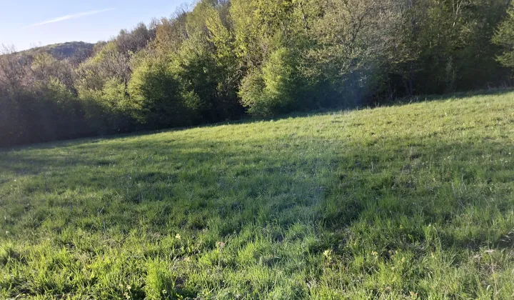 Działka rolno-budowlana Przemyśl Kruhel Wielki, ul. Kruhel Wielki