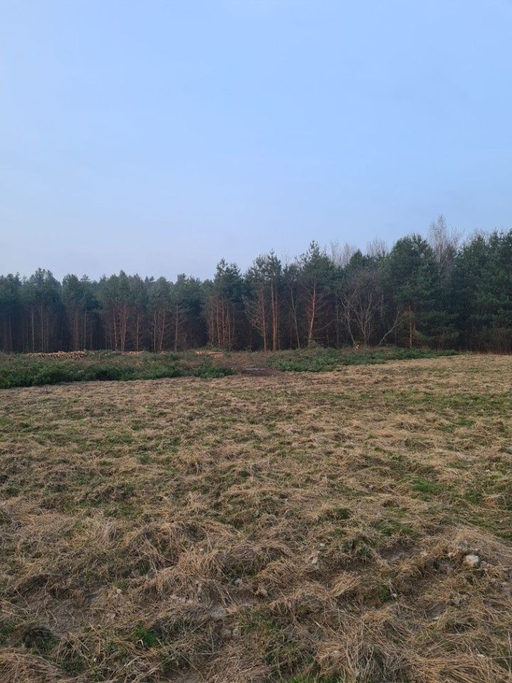 Działka budowlana Rabinówka. Zdjęcie 4