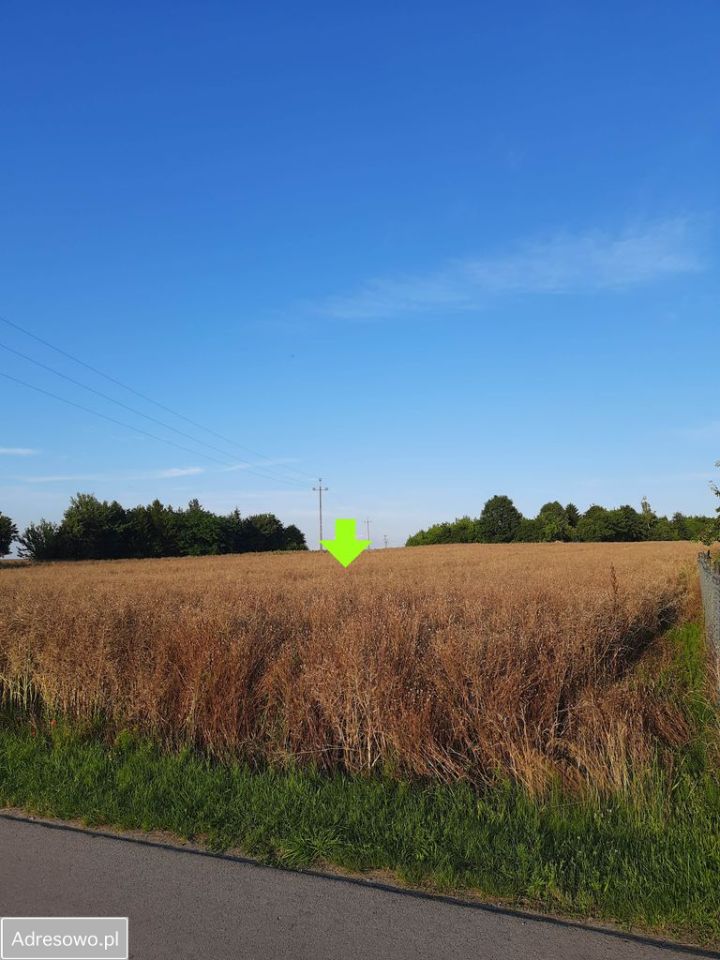 Działka budowlana Czerniejów-Kolonia