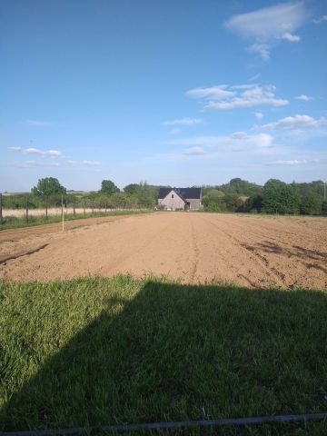 Działka siedliskowa Radłów. Zdjęcie 1