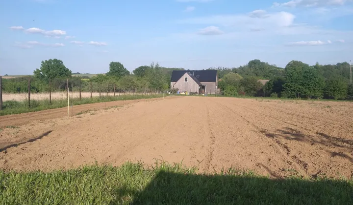 Działka siedliskowa Radłów