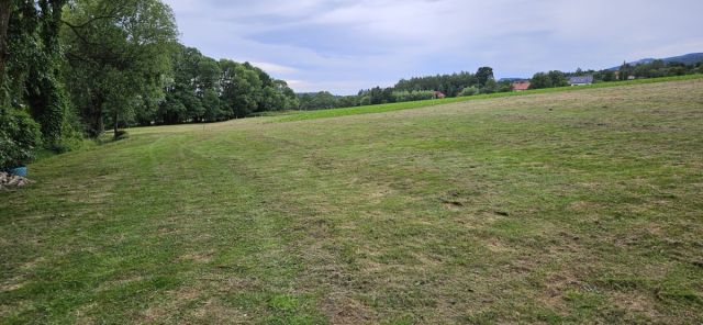 Działka siedliskowa Komarno. Zdjęcie 6