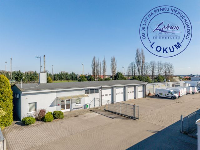 Lokal Święciechowa. Zdjęcie 4