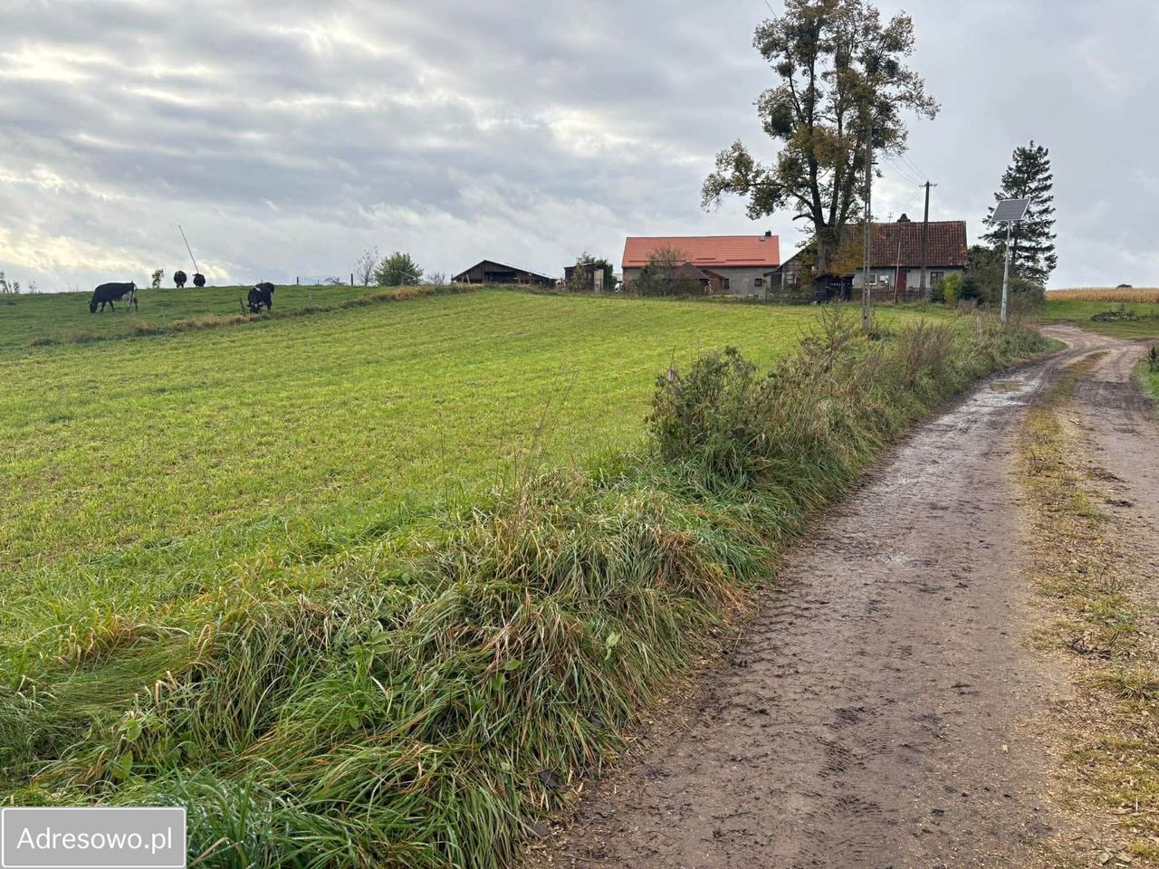 Działka budowlana Ładne Pole. Zdjęcie 2