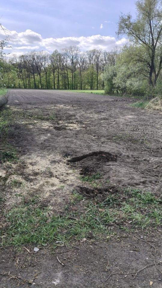 Działka rolno-budowlana Grodziec. Zdjęcie 6