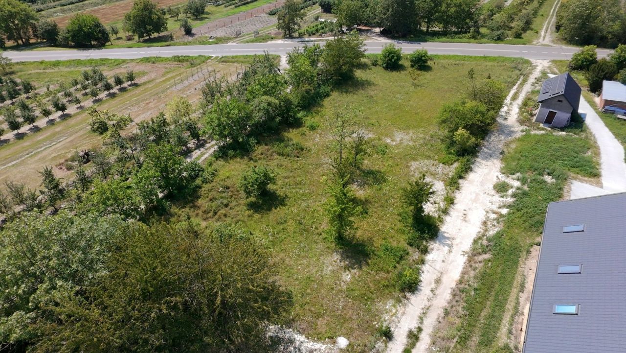 Działka rolno-budowlana Łopoczno. Zdjęcie 2